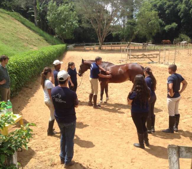 Curso primeiros socorros para equinos – 2016