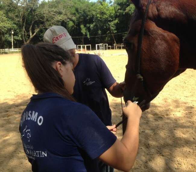 Curso primeiros socorros para equinos – 2016