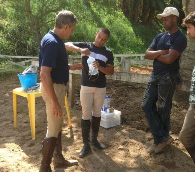 Curso primeiros socorros para equinos – 2016
