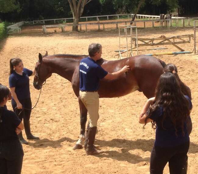 Curso primeiros socorros para equinos – 2016