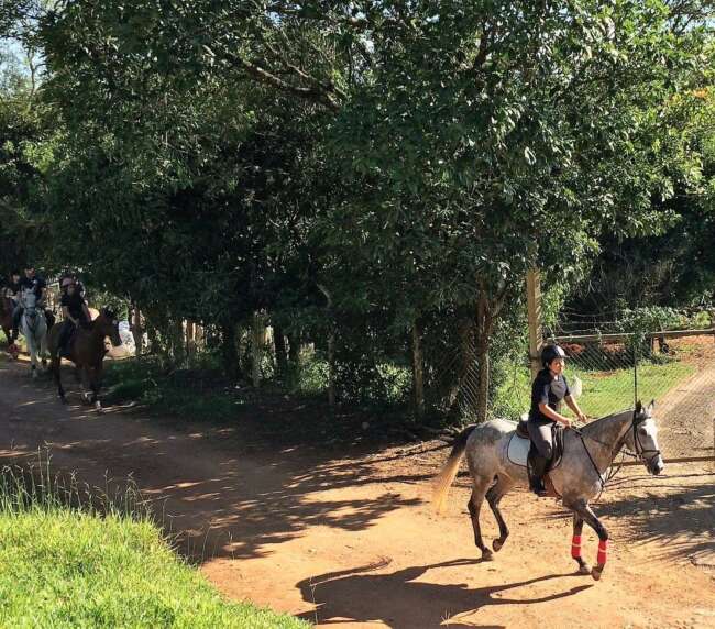 1º passeio San Martin - 2017